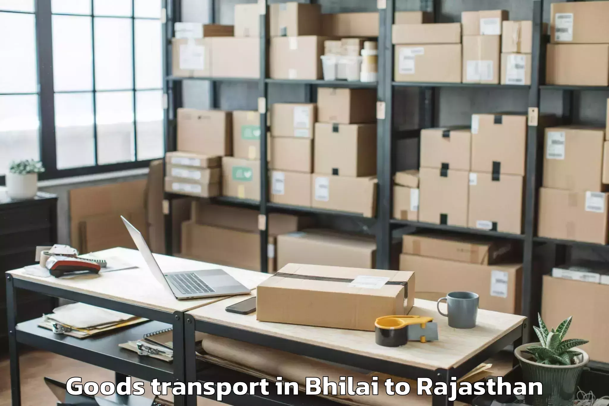 Quality Bhilai to Maharaja Surajmal Brij Univers Goods Transport